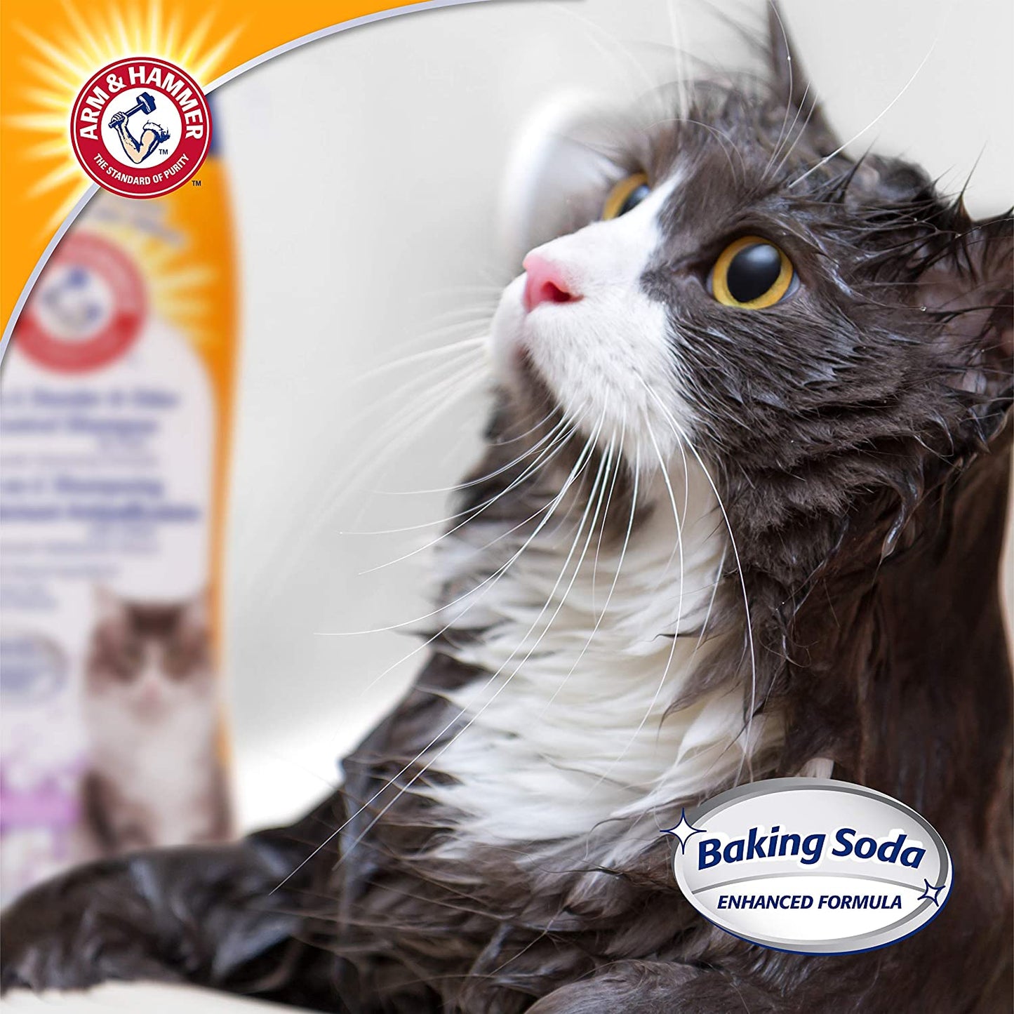 Arm & Hammer 2-in-1 Deodorizing Cat Shampoo with Dander Control - Lavender Chamomile Scent, 20 Fl Oz