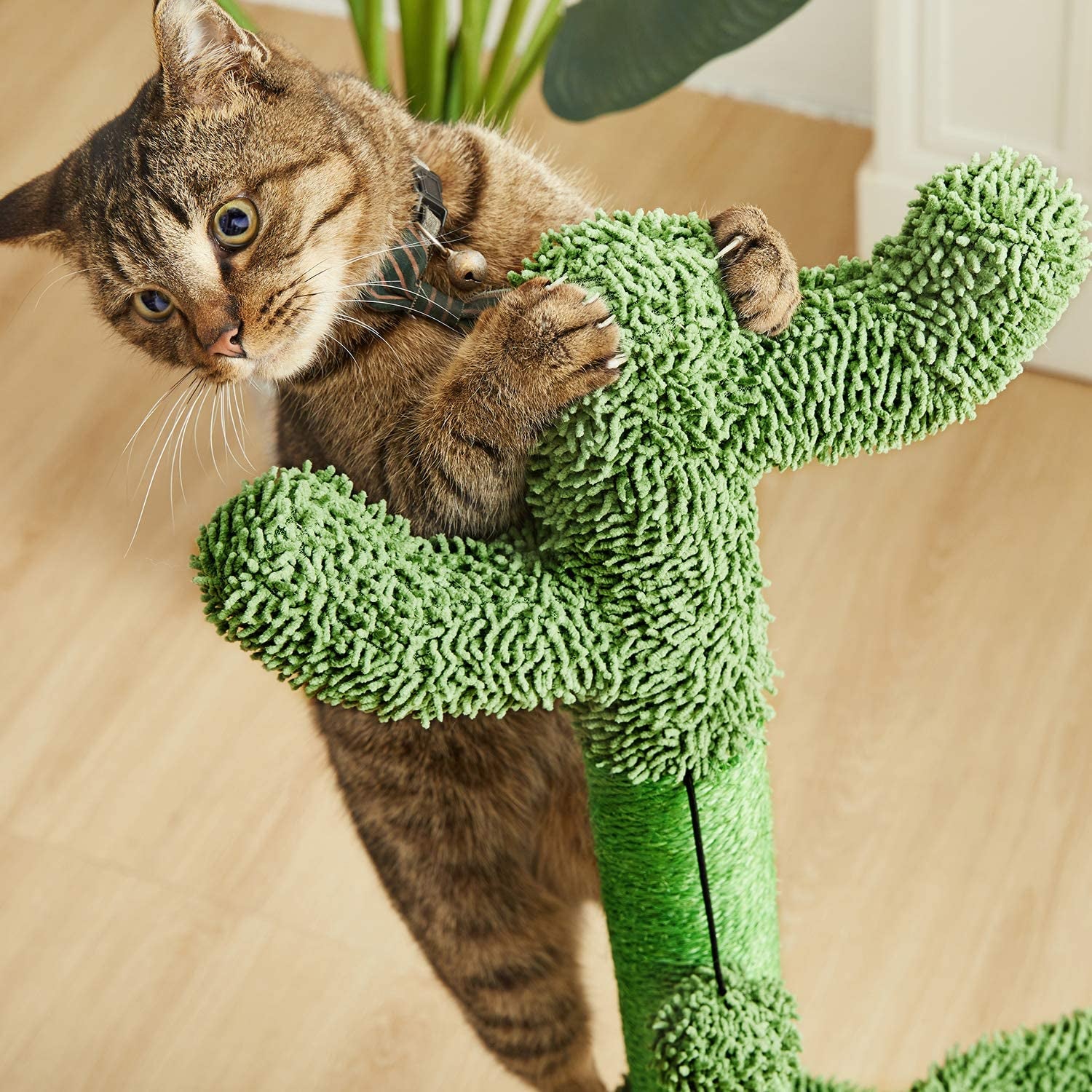 Cactus Cat Tree with Hammock & Sisal Scratching Post - Perfect for Small Cats - 31" Green Design