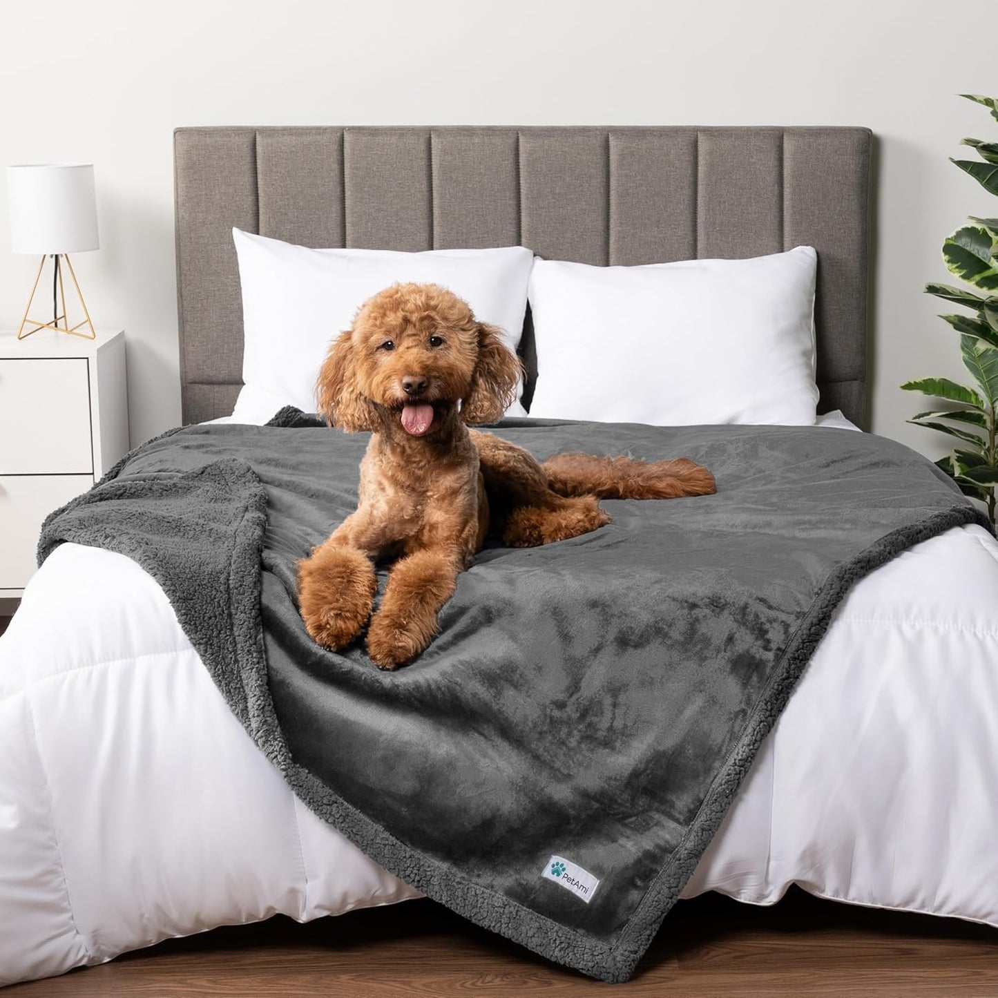 Petami Waterproof Dog Blanket - Reversible Sherpa Fleece Throw for Medium to Large Dogs & Cats - Leakproof Couch Cover, Soft & Washable 60x40 in Taupe