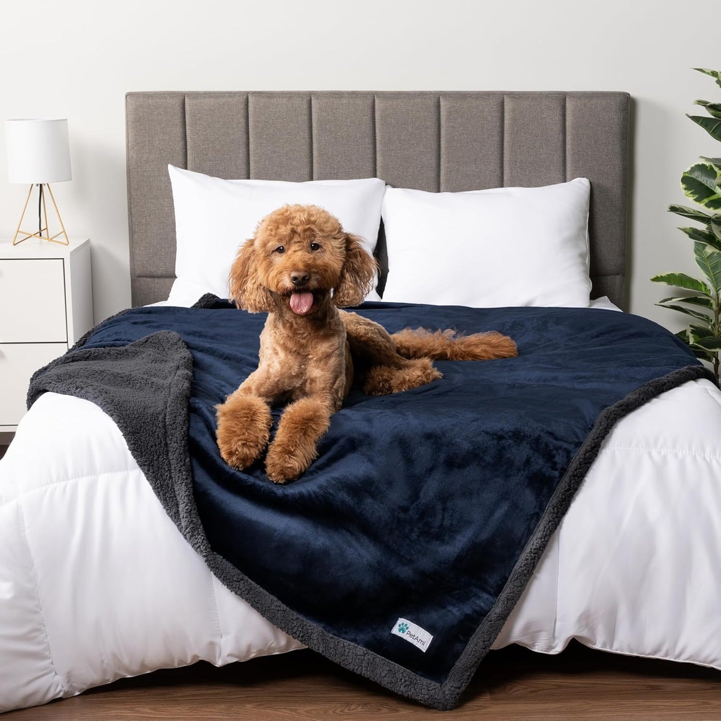 Petami Waterproof Dog Blanket - Reversible Sherpa Fleece Throw for Medium to Large Dogs & Cats - Leakproof Couch Cover, Soft & Washable 60x40 in Taupe