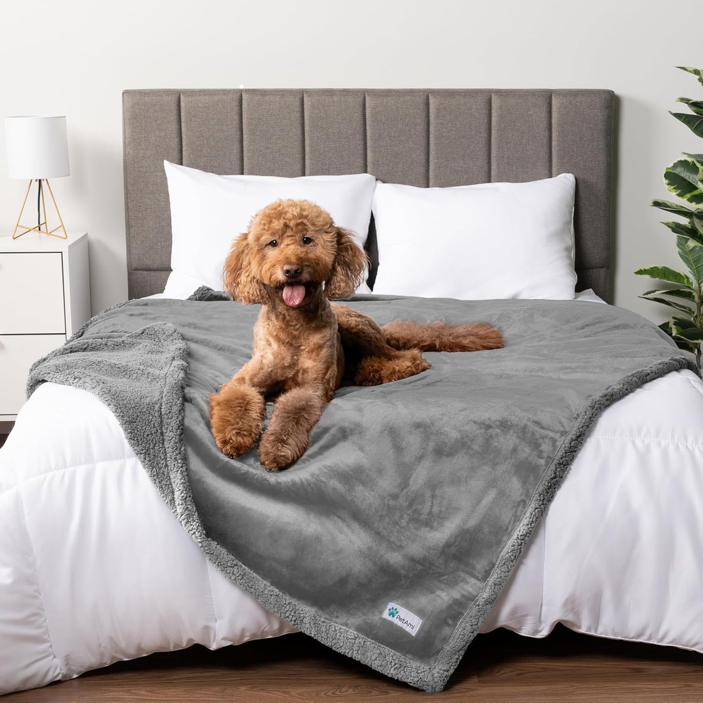 Petami Waterproof Dog Blanket - Reversible Sherpa Fleece Throw for Medium to Large Dogs & Cats - Leakproof Couch Cover, Soft & Washable 60x40 in Taupe