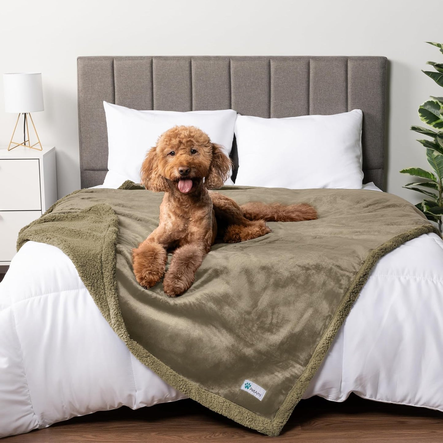 Petami Waterproof Dog Blanket - Reversible Sherpa Fleece Throw for Medium to Large Dogs & Cats - Leakproof Couch Cover, Soft & Washable 60x40 in Taupe