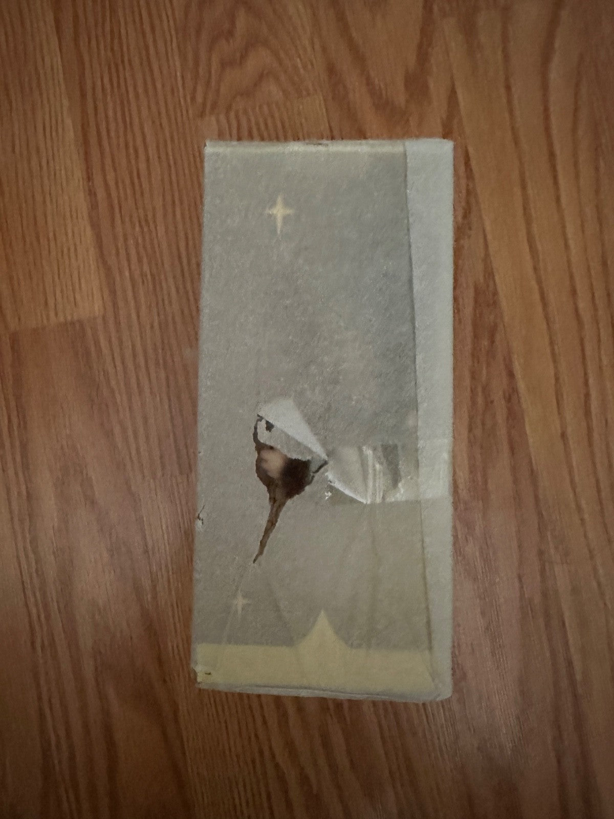 (US)AUTHENTIC- (US)AUTHENTIC-