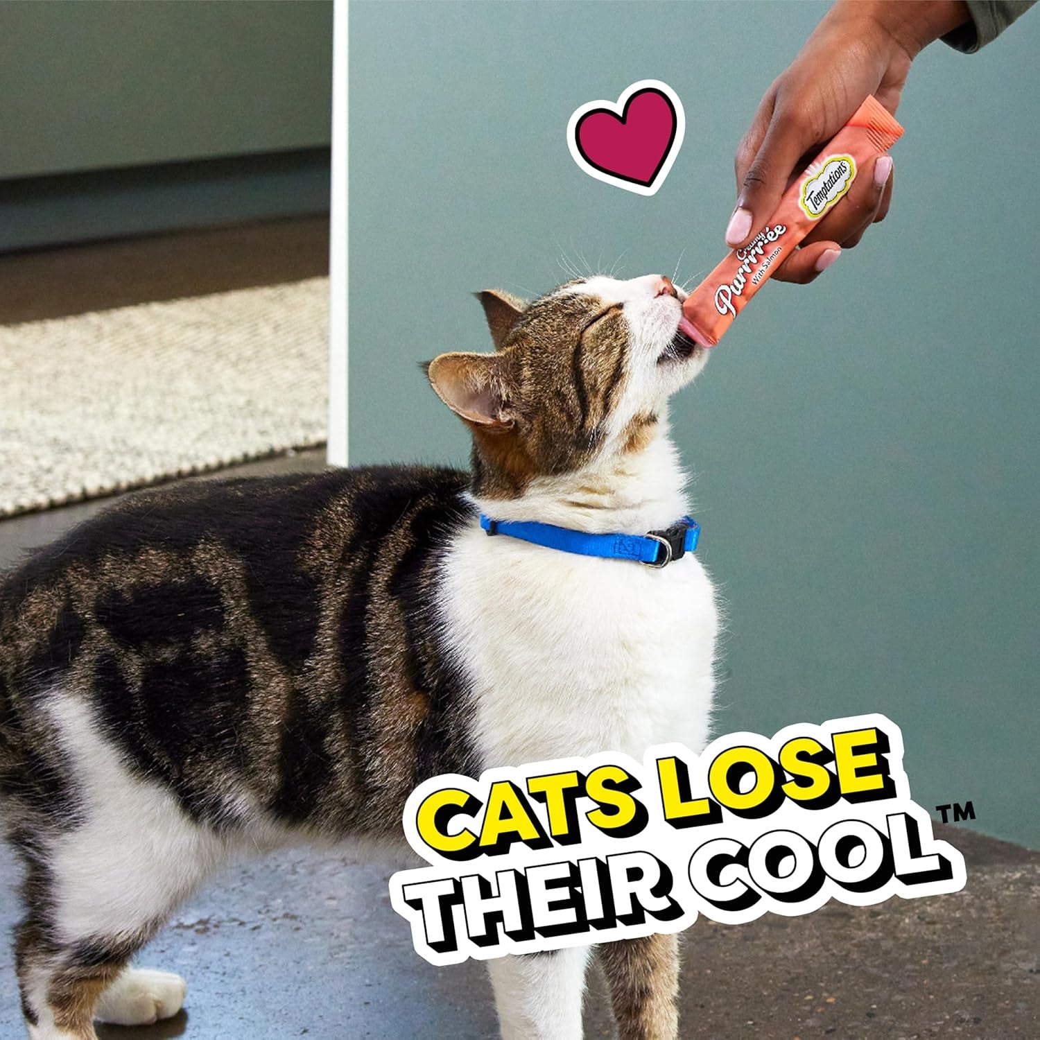 Indulge Your Cat with Temptations Creamy Salmon Puree Treats - 24 Squeezable & Lickable Tubes!
