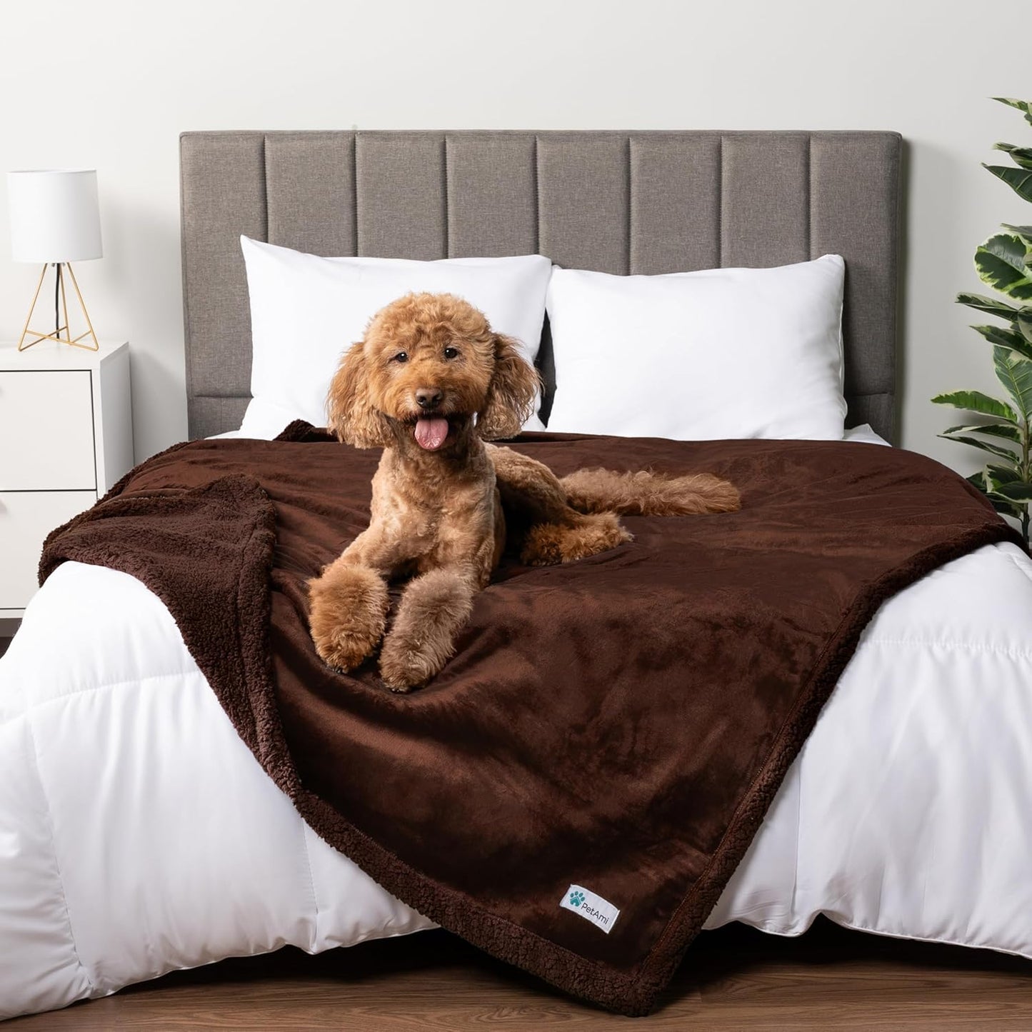 Petami Waterproof Dog Blanket - Reversible Sherpa Fleece Throw for Medium to Large Dogs & Cats - Leakproof Couch Cover, Soft & Washable 60x40 in Taupe