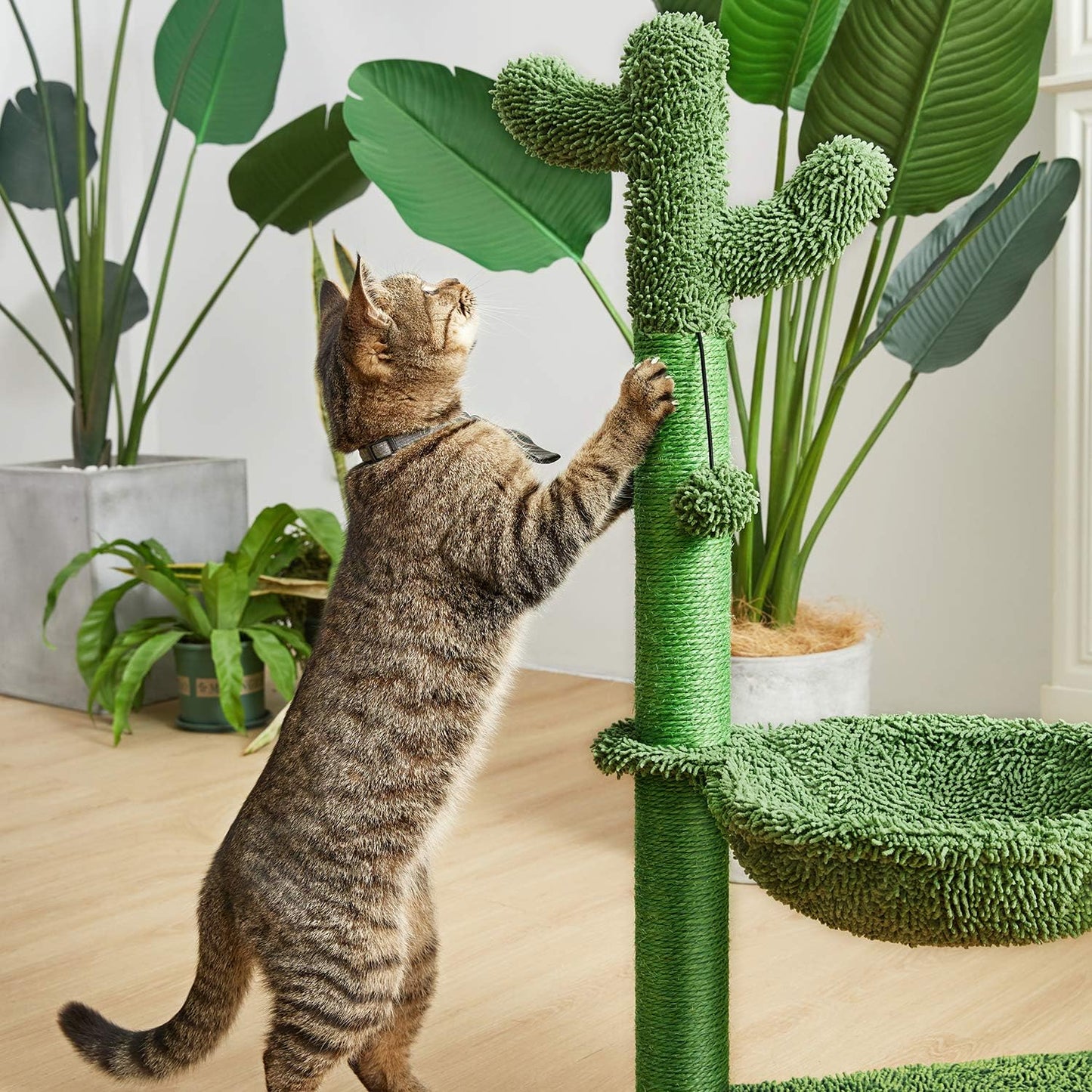 Cactus Cat Tree with Hammock & Sisal Scratching Post - Perfect for Small Cats - 31" Green Design