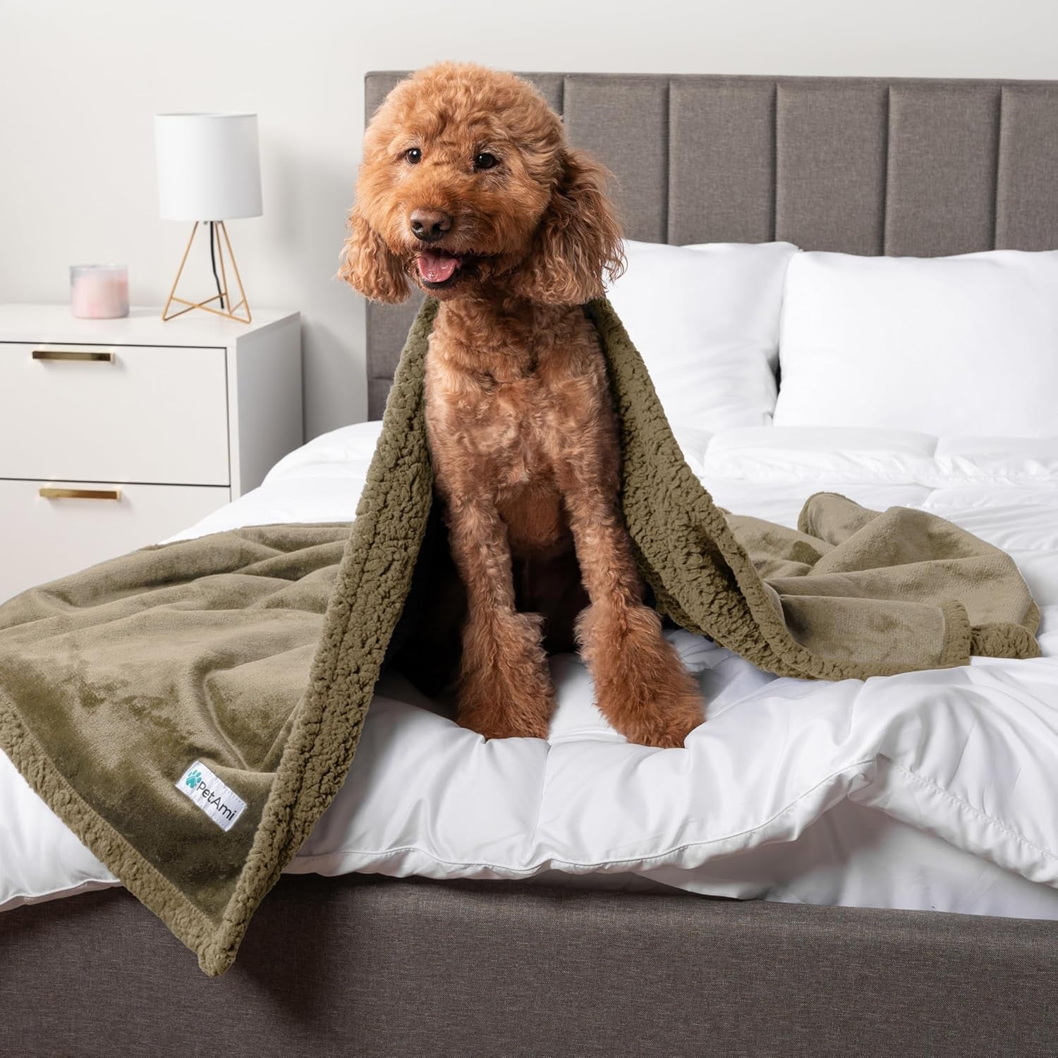 Petami Waterproof Dog Blanket - Reversible Sherpa Fleece Throw for Medium to Large Dogs & Cats - Leakproof Couch Cover, Soft & Washable 60x40 in Taupe