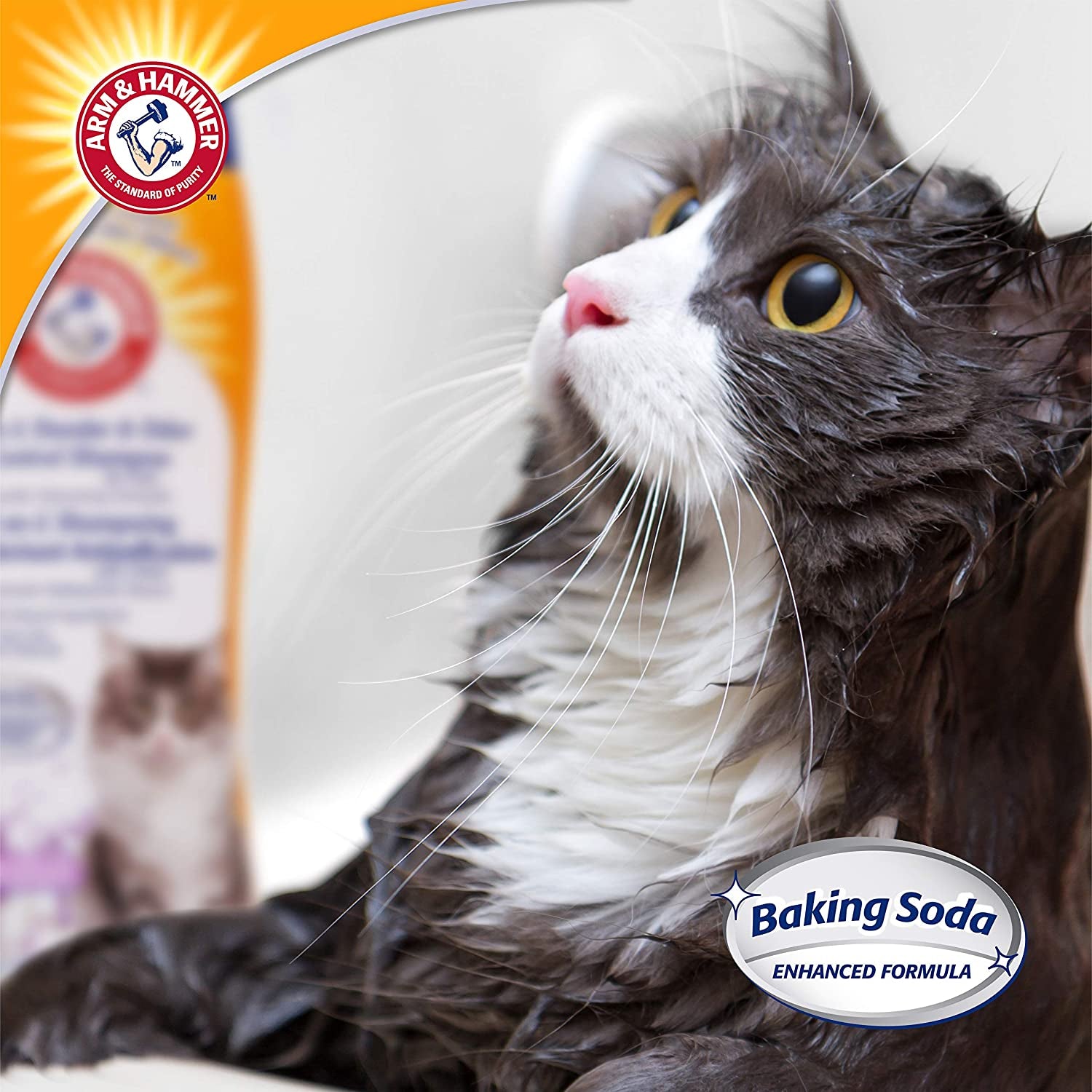 Arm & Hammer 2-in-1 Deodorizing Cat Shampoo with Dander Control - Lavender Chamomile Scent, 20 Fl Oz