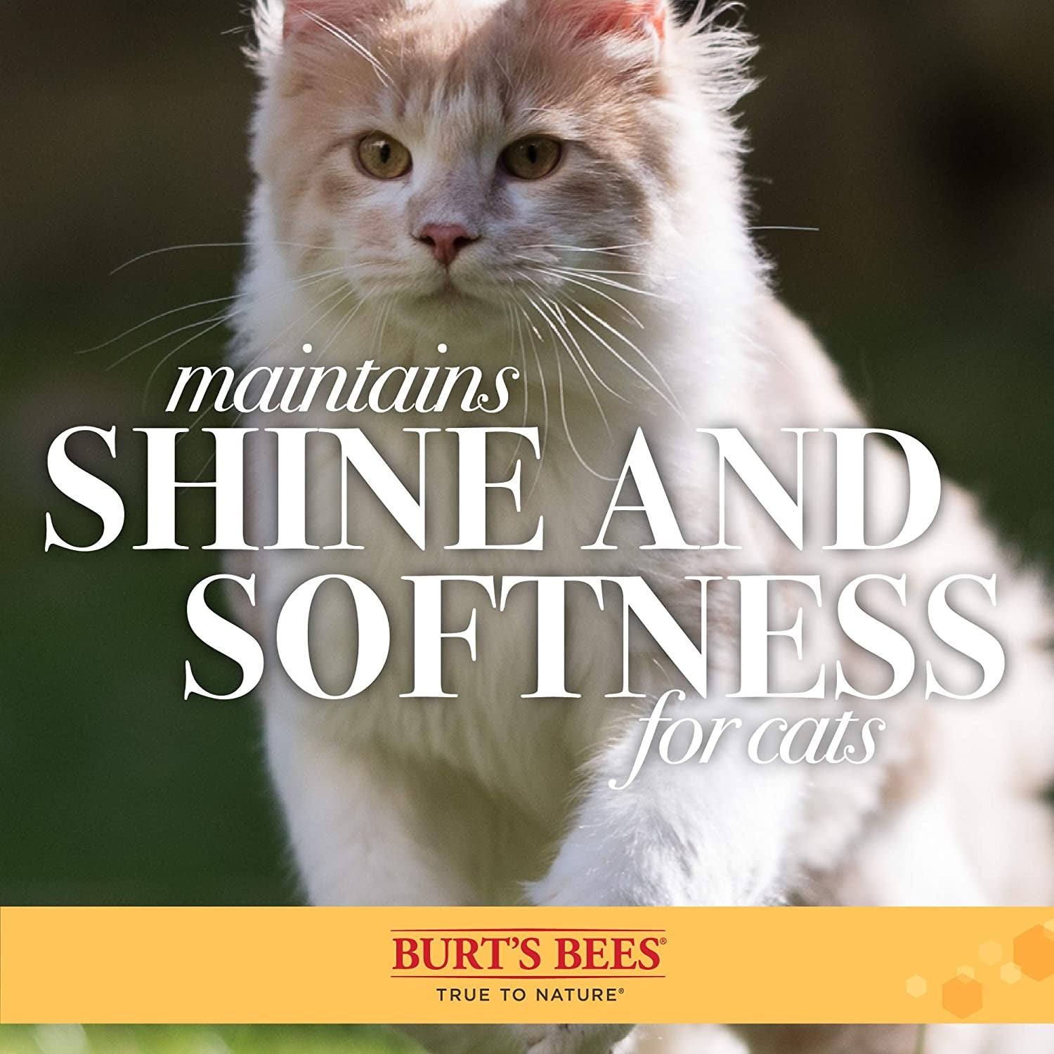 Burt's Bees Double-Sided Cat Grooming Brush - Effortlessly Remove Loose Fur & Prevent Matting!