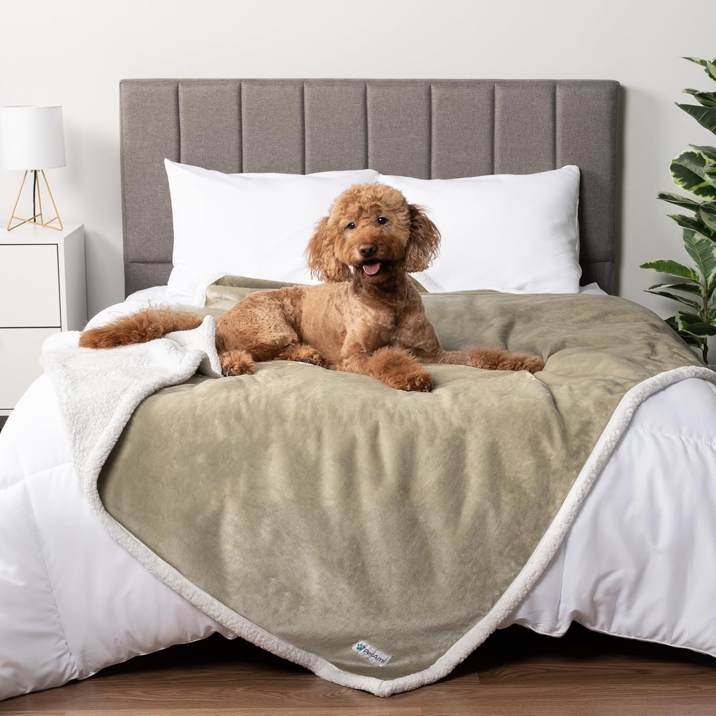 Petami Waterproof Dog Blanket - Reversible Sherpa Fleece Throw for Medium to Large Dogs & Cats - Leakproof Couch Cover, Soft & Washable 60x40 in Taupe
