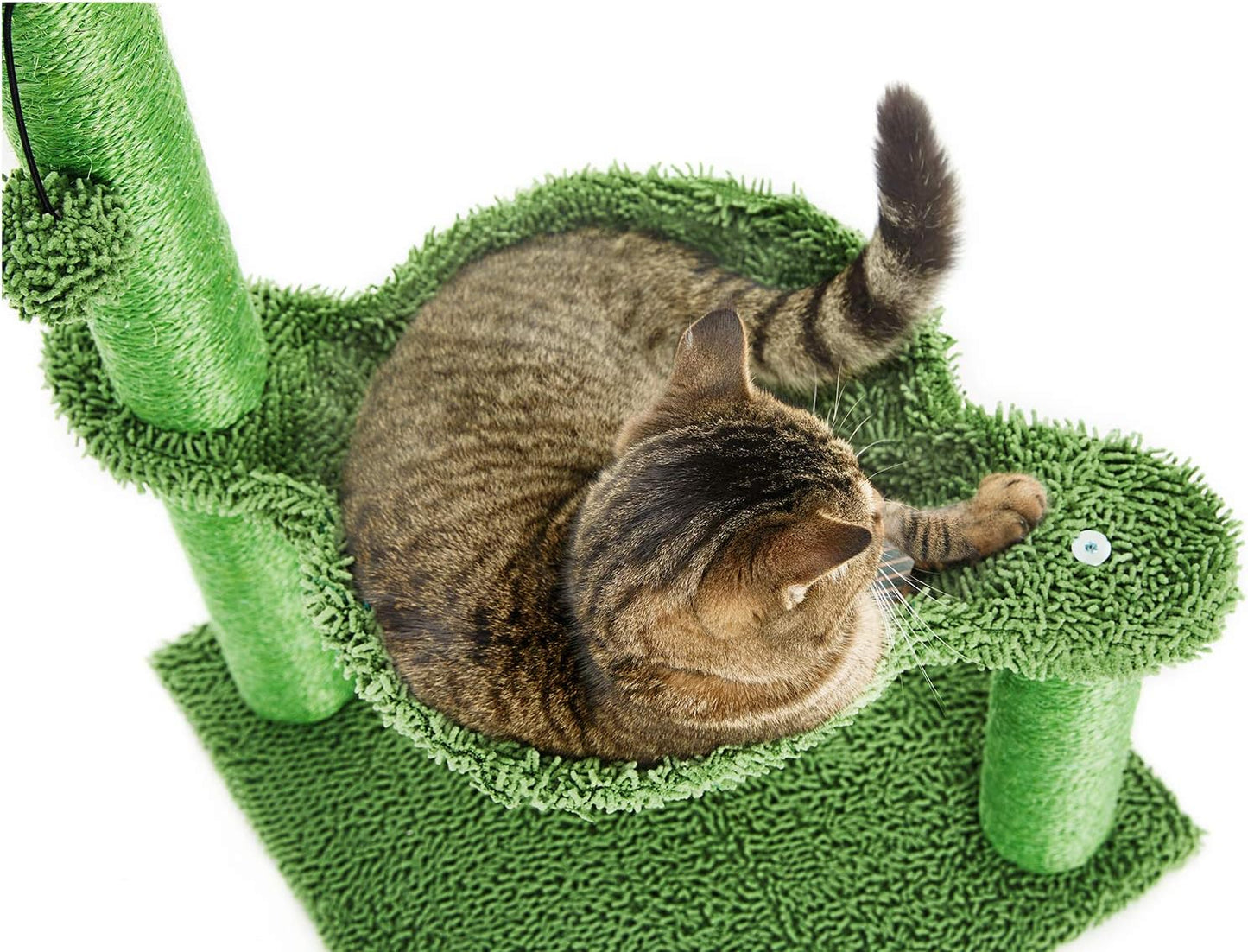 Cactus Cat Tree with Hammock & Sisal Scratching Post - Perfect for Small Cats - 31" Green Design